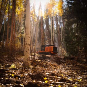 fire mitigation strategies